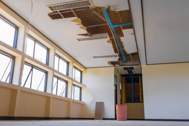 Best Sewage cleanup and water damage restoration  in Corning, AR