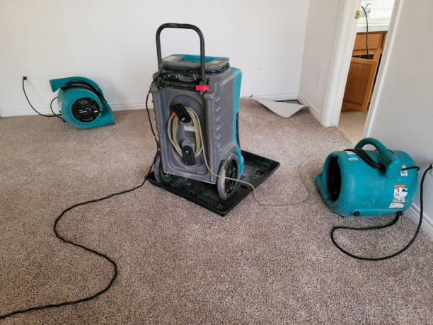 Best 24-hour water damage restoration  in Corning, AR