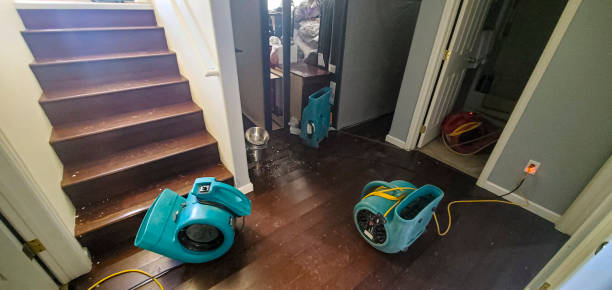 Best Flooded house restoration  in Corning, AR