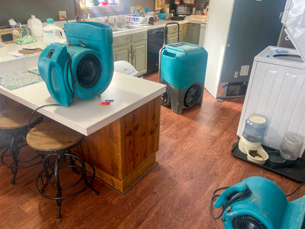 Best Ceiling water damage repair  in Corning, AR