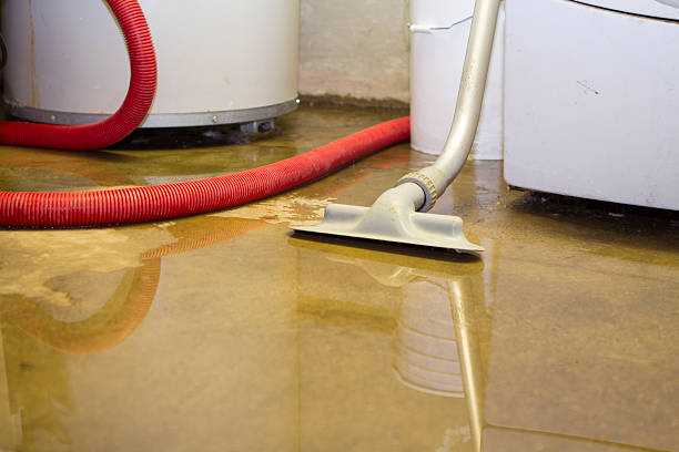 Best Emergency water extraction  in Corning, AR