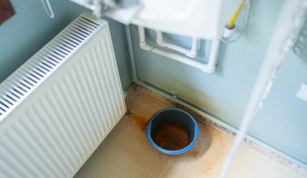 Best Water damage contractors near me  in Corning, AR