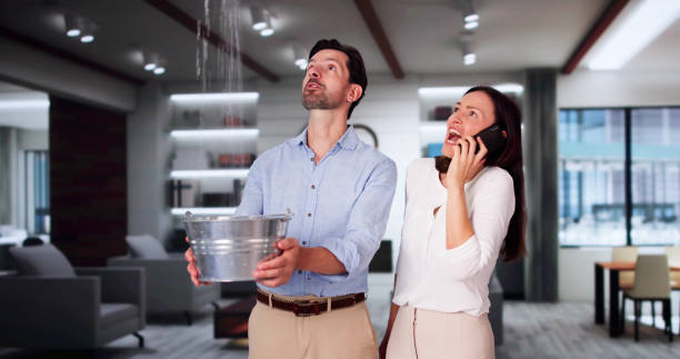 Best Basement water damage restoration  in Corning, AR