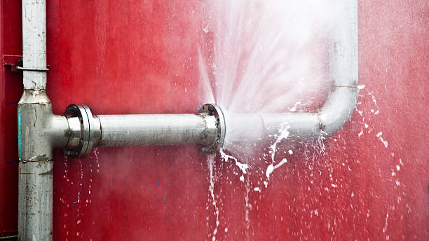 Best Water damage cleanup near me  in Corning, AR